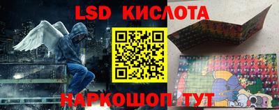 прущие грибы Ставрополь