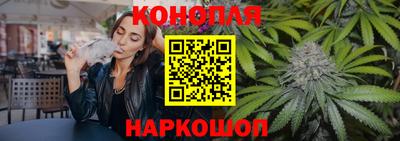 прущие грибы Ставрополь