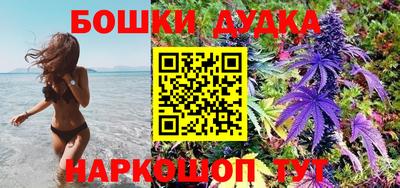 прущие грибы Ставрополь